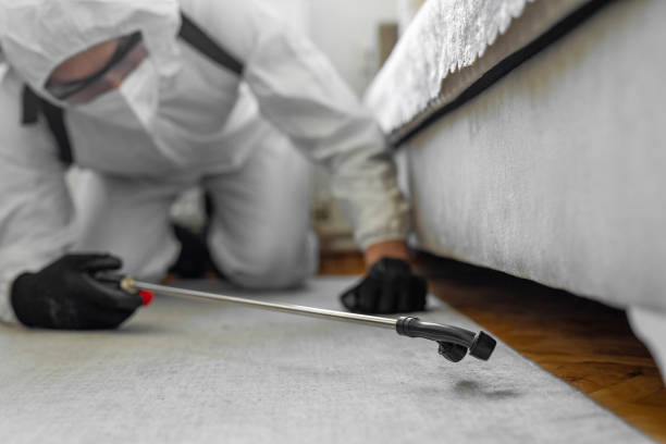 Professional Emergency Pest Control technician working in Trussville, AL