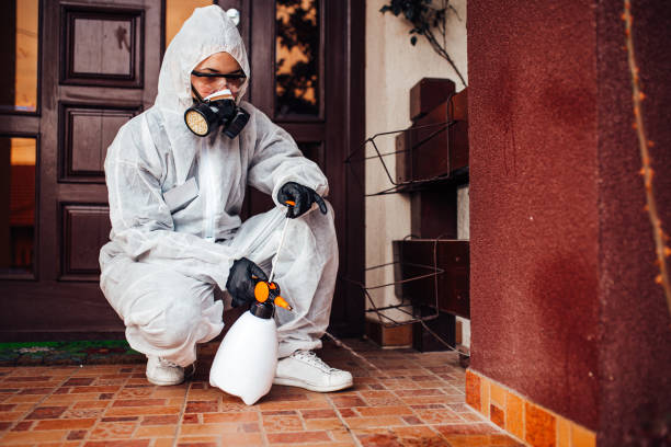 Reliable Emergency Pest Control contractor in Trussville, AL by Nex Pest Control