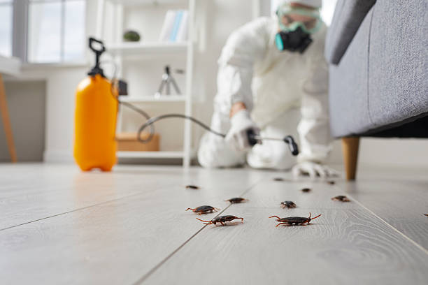 Trusted Fumigation Services service in Trussville, AL - Nex Pest Control