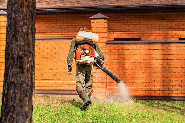 Trusted Rodent Control service in Trussville, AL - Nex Pest Control
